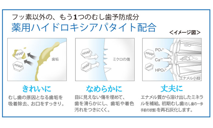 歯にどのように良いかの説明画像