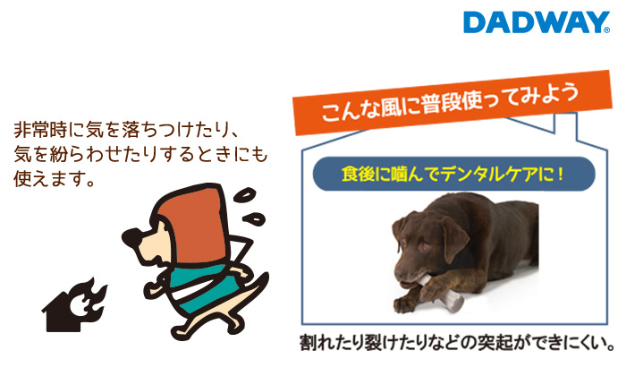災害時など気持ちを落ち着かせたり、気を紛らわす時におすすめです