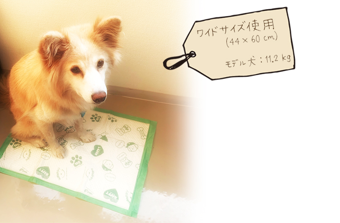 中~大型犬用