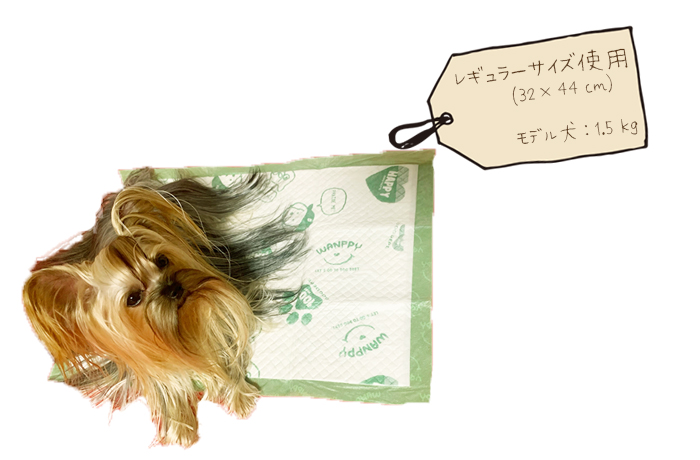 小~中型犬用