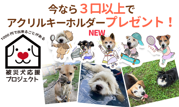 今なら3口以上でアクリルキーホルダープレゼント!