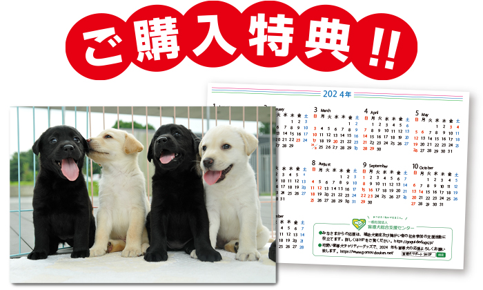 購入者全員にポストカードサイズの盲導犬オリジナルカレンダーをプレゼント