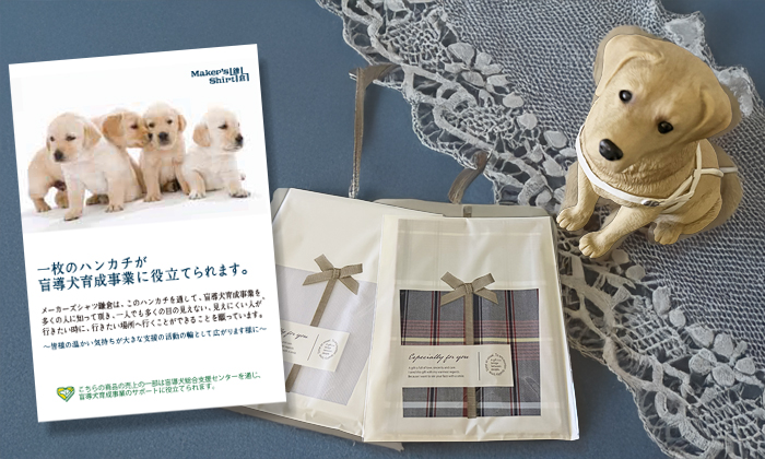 リーフレットのイメージ写真