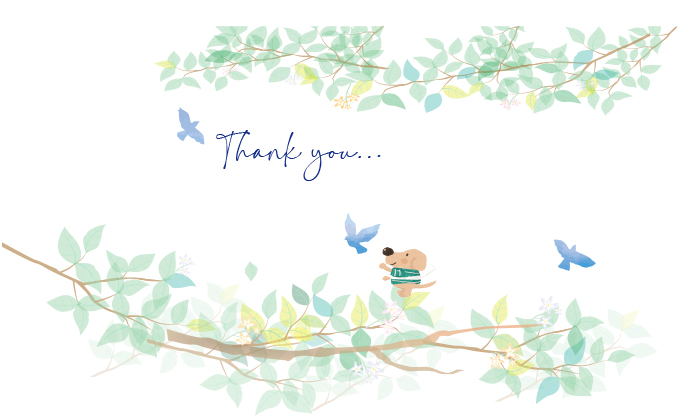 手書き風なパステル調の緑が爽やかな枝葉が描かれ、木の上に手書き風のエルくんが乗っていてその上には青い鳥が３羽が楽しそうに飛んでいるデザイン熨斗中央にTHANKYOUと書かれている