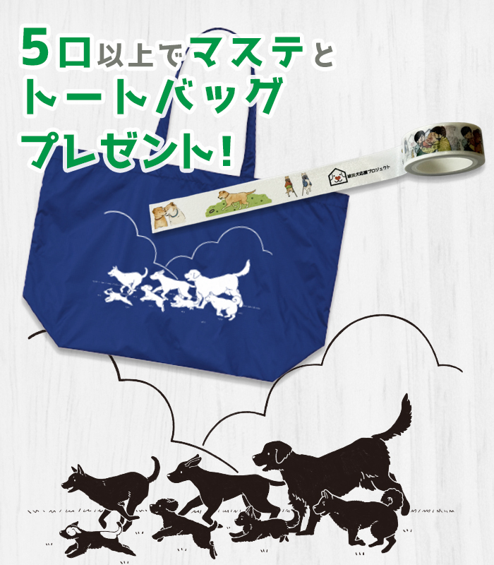 ５口以上でマスキングテープとエコバッグプレゼント