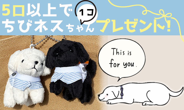 ５口以上でちびネスちゃんを１つプレゼントします