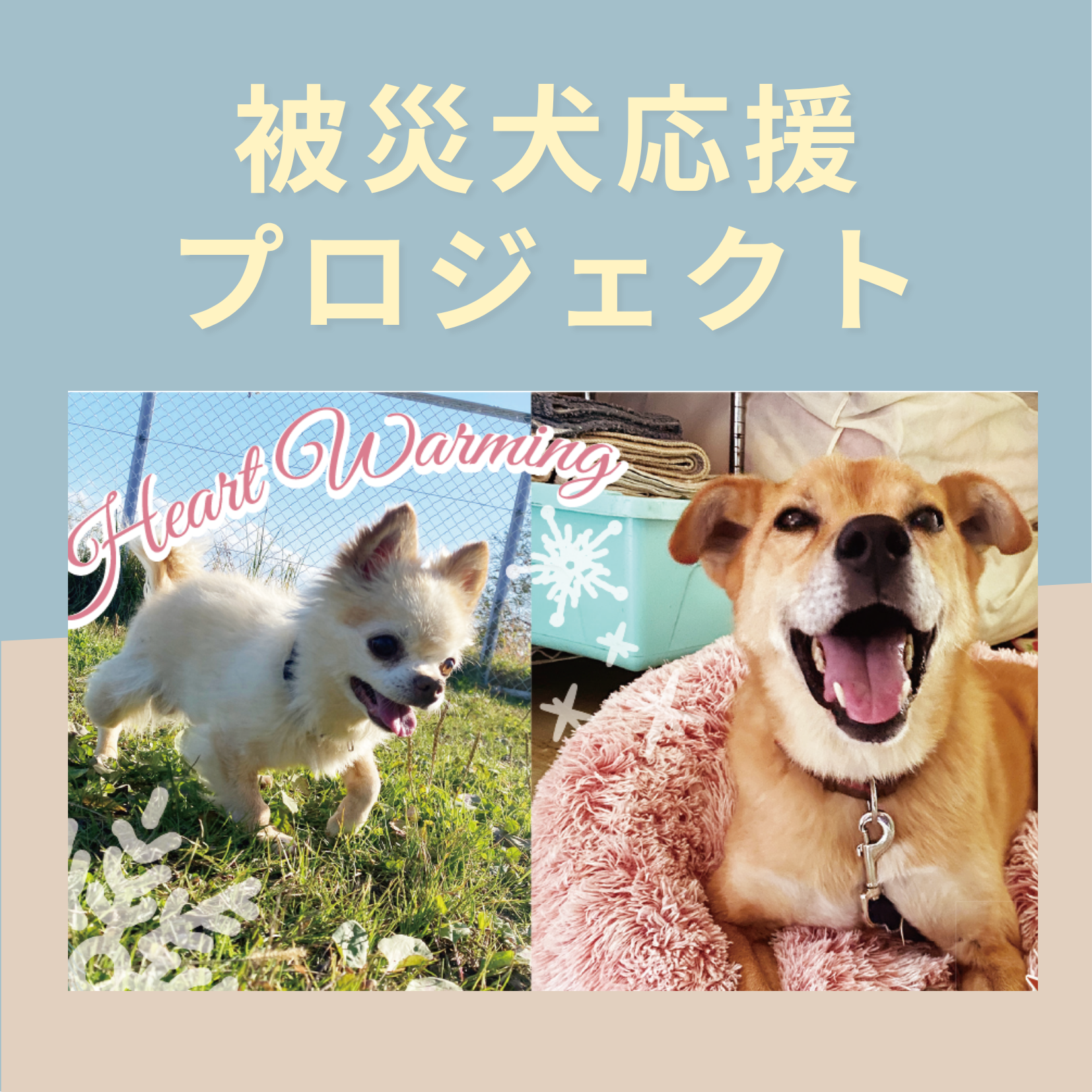 特定プロジェクト