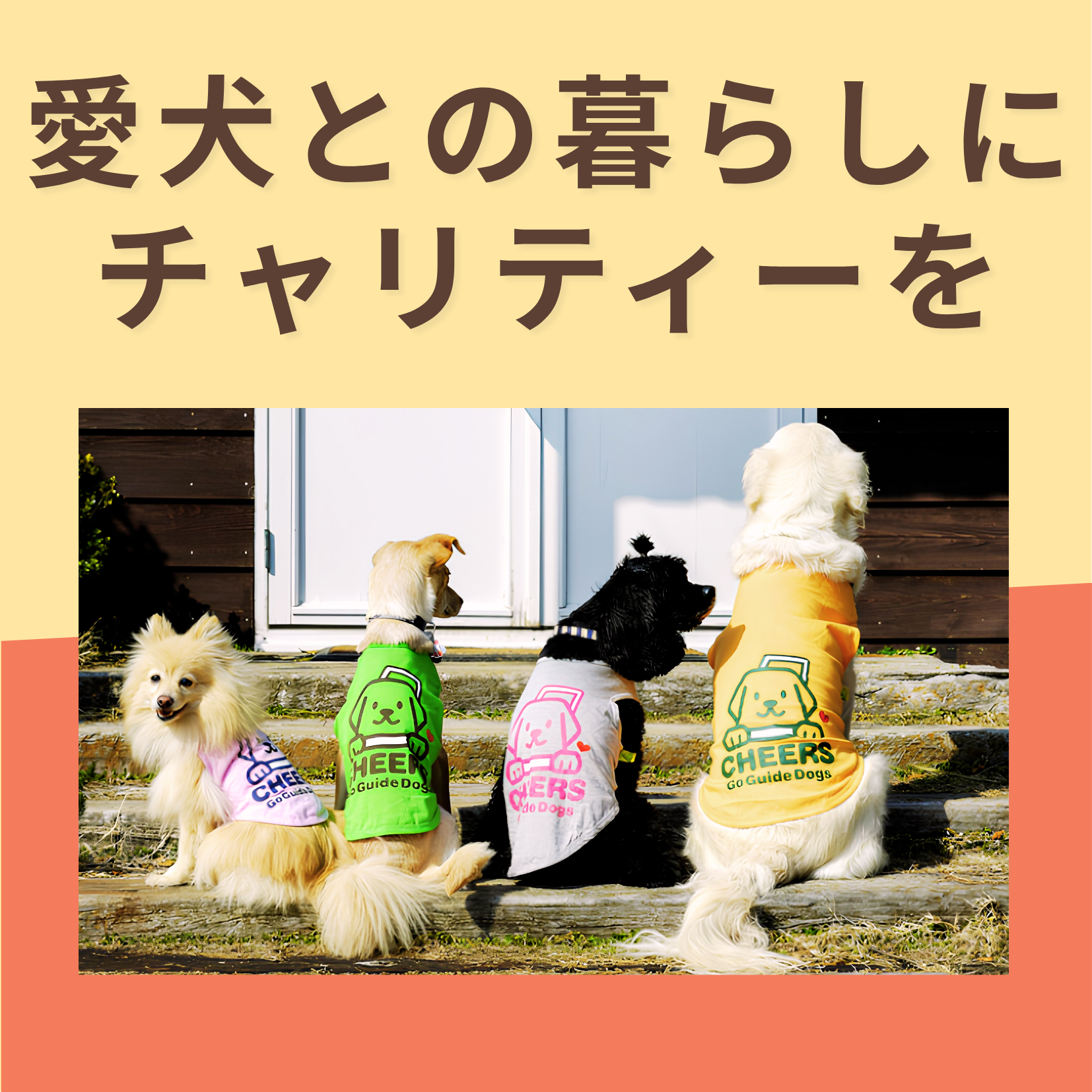 愛犬との暮らし