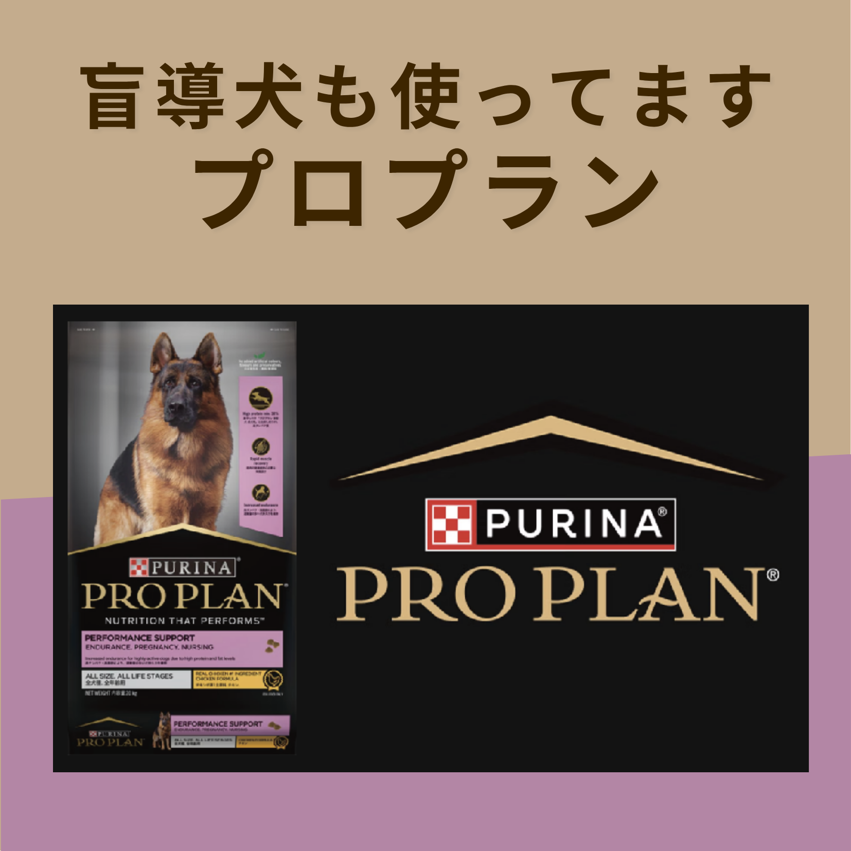 プロプラン