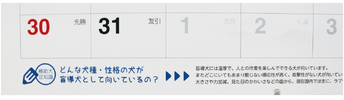 マス目のアップ写真