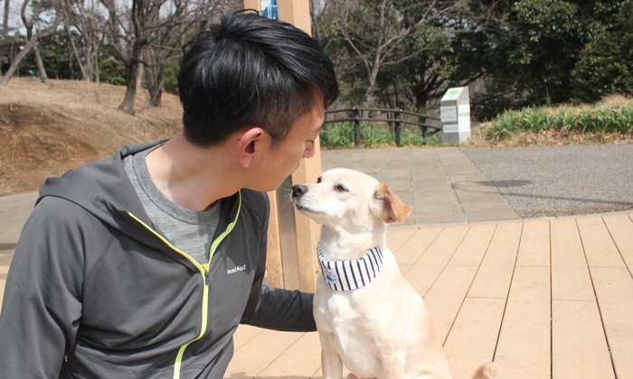 ミックス犬にバンダナを着用させた写真