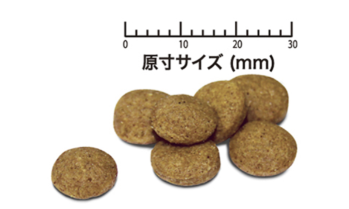 フードの形状の写真