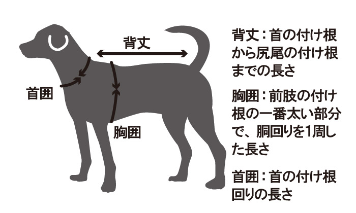 背丈、首の付け根から尻尾の付け根までの長さ。胸囲、前肢の付け根の一番太い部分で、胴回りを一周した長さ。首囲、首の付け根の周りの長さ