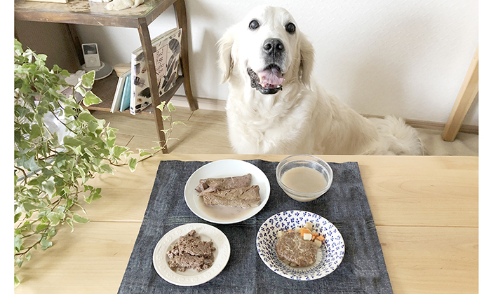 全種類がテーブルに並べられた写真