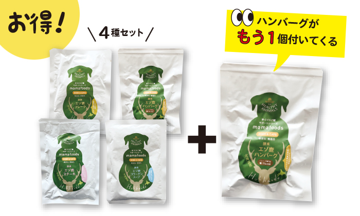 4種セットの写真