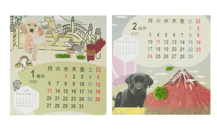 1月と2月の写真