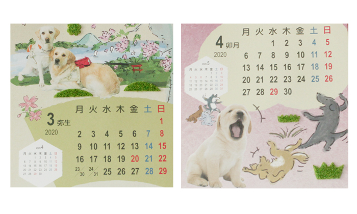 3月と4月の写真