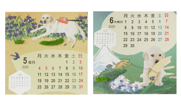 5月と6月の写真