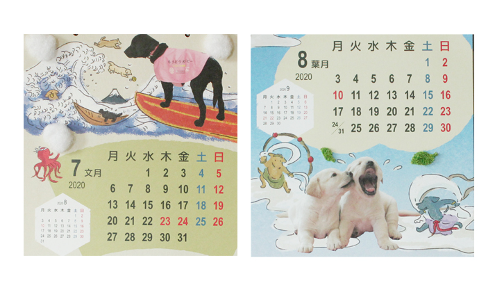 7月と8月の写真
