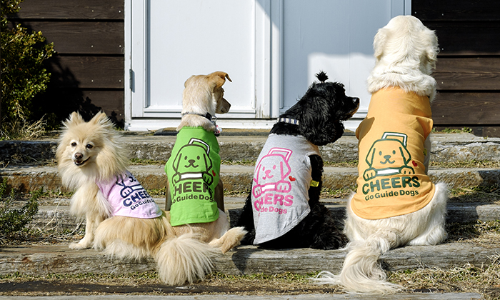 ワンT【CHEERS】を着て並んでいる４頭の犬