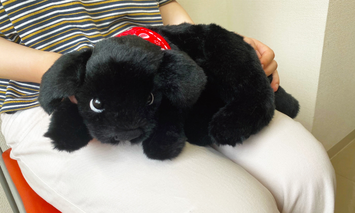 甘えんぼラブちゃんのブラックを膝の上で抱っこしている。