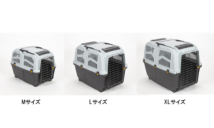 MからXLが並んだ写真