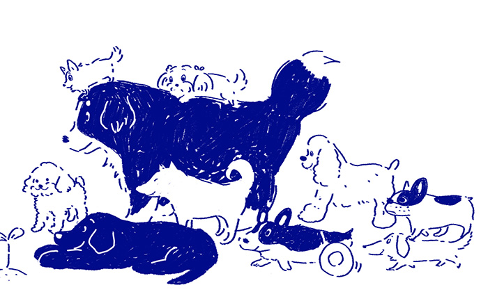 マグにプリントされている犬のイラスト
