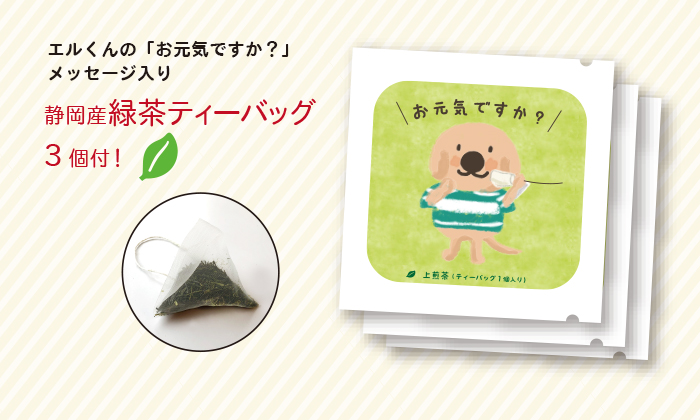 緑茶ティーバッグ写真