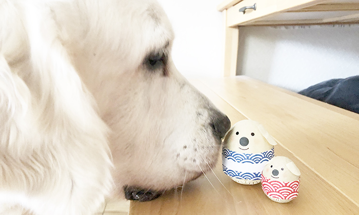 ゴールデンが起き上がりこぼしのにおいをかいでいる写真