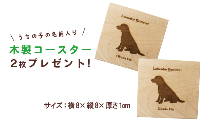 コースターの写真