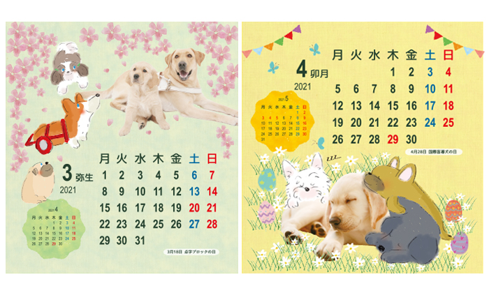3月と4月の写真