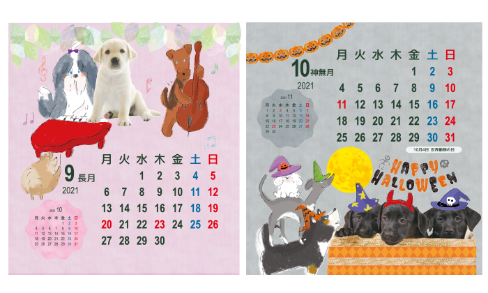 9月と10月の写真