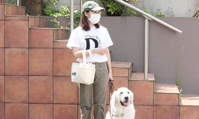 ゴールデンと女性モデルが並んだ写真