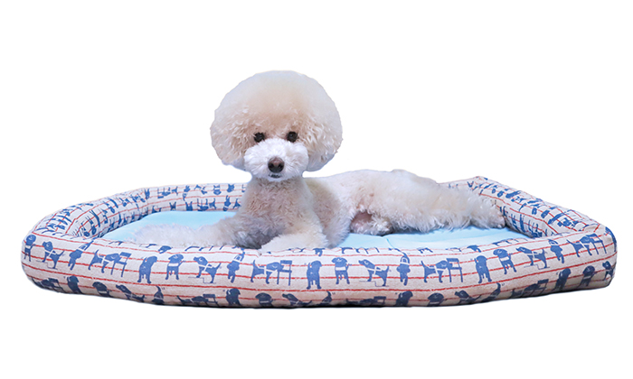 ベッドにいるモデル犬