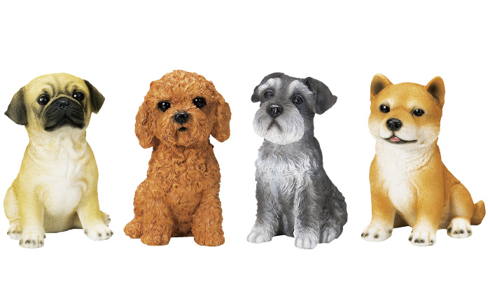パグ、プードル、シュナウザー、柴犬の写真
