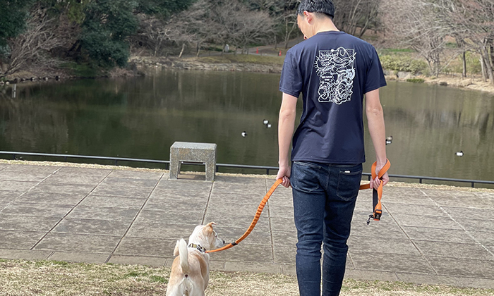 犬の散歩する様子