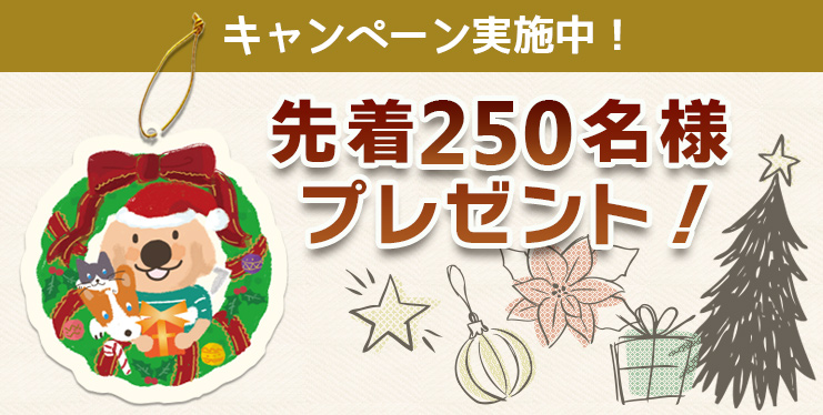 キャンペーン実施中。先着250名様限定プレゼント。