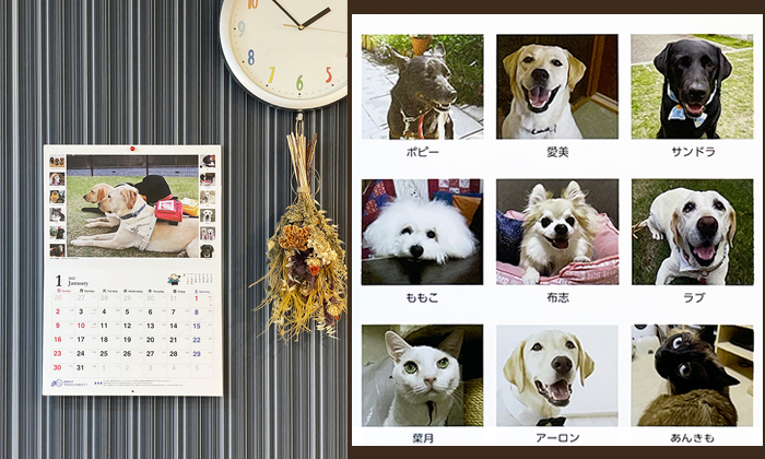 お部屋に飾られたカレンダーのイメージショットと。補助犬を応援するワンコとニャンコの写真。
