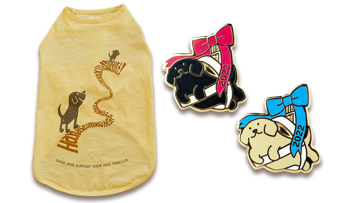 Tシャツと2種類のピンバッジ。