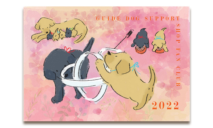 ポストカードのデザインアップ。カード上のイラストは。母犬のお乳を飲むパピー4匹。黒ラブとイエローラブの兄弟犬が一緒にフードを食べている。2匹の兄弟犬がハーネスに興味津々のイラストが大きく描かている。
