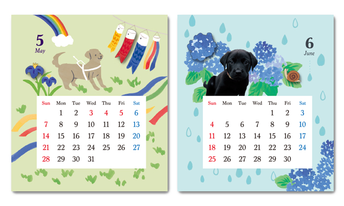 9月と12月のカレンダー中身。9月は盲導犬とセントバーナード。柴犬がみんなでパーティーを楽しんでいるイラスト。12月はサンタ帽を被ったパピーがそりに乗っているイラスト。