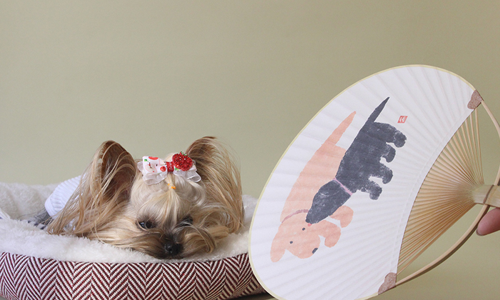 犬に扇いであげている写真。とっても気持ちがよさそうに眠っている。