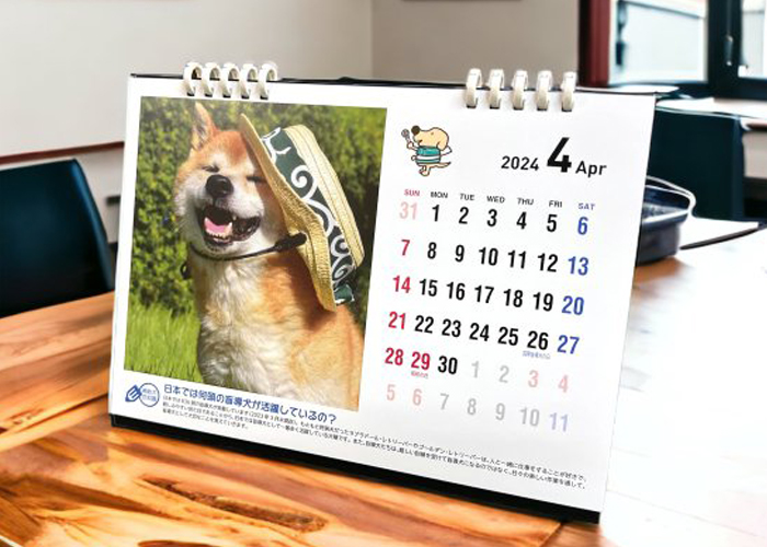 我が家の可愛い犬や猫の写真で作った卓上カレンダー