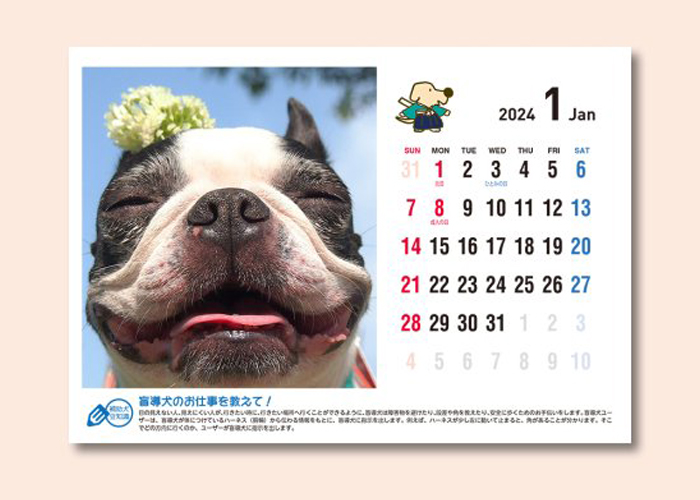 1月に入れ込んだ写真イメージ。机の上に卓上カレンダーを置いている。カレンダーの左側にうちの子の写真。右側にひだまが載っている。
