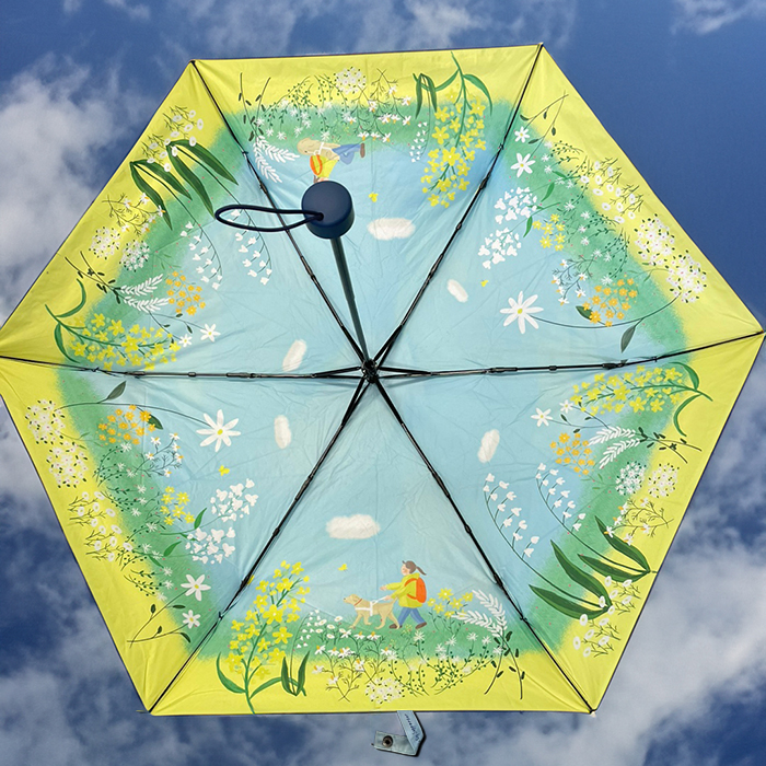 青空のもと開いた傘を芝生の上に置いた写真