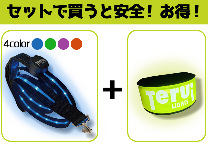 リードとアームバンドセットで買うと安全お得の写真