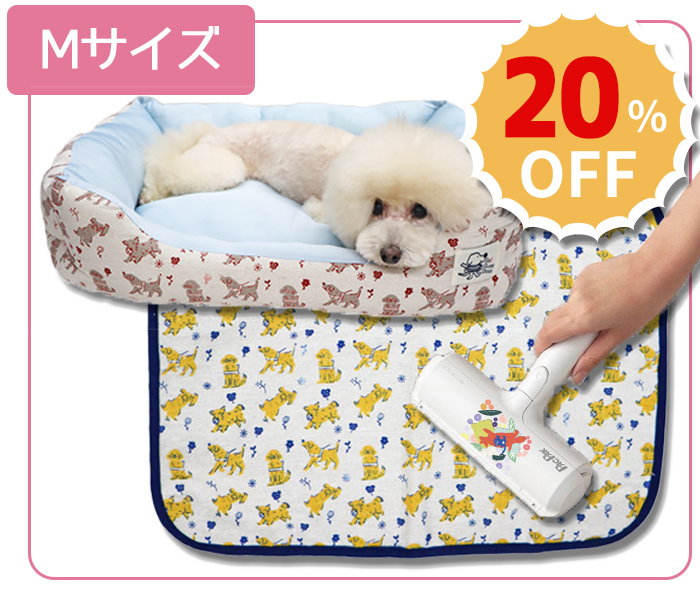 Mサイズセットの写真
