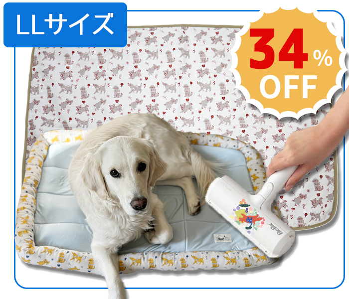 LLサイズセットの写真