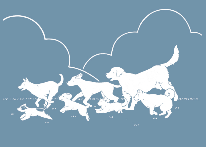 いろいろな犬種の犬たちが楽しそうに同じ方向に楽しく走っているイラスト