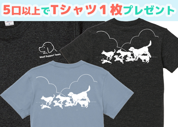 ５口以上でお好きなサイズのTシャツを１枚プレゼント